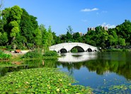 天子橋
